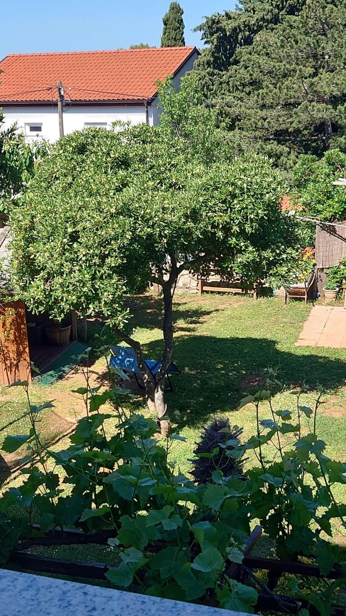 Da Dorian Room Plus Apartments Punat Zewnętrze zdjęcie